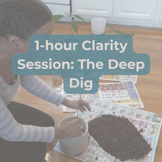 The Dig -  60 Min Session